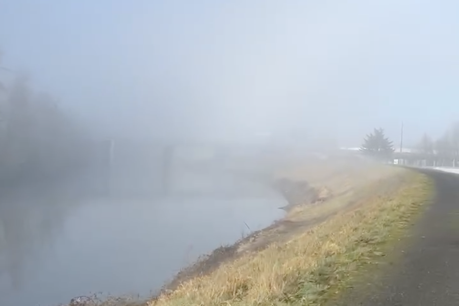 a paved pathway that fades into morning fog in the distance, beside a steep bank to the left that slopes down to a wide creek 